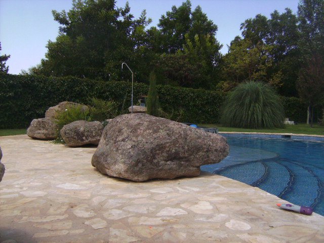 Integración de plantas y piedras en piscina