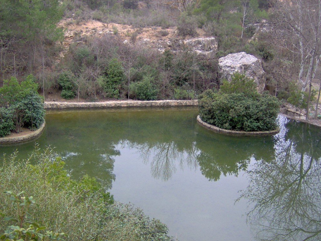 Piscina natural