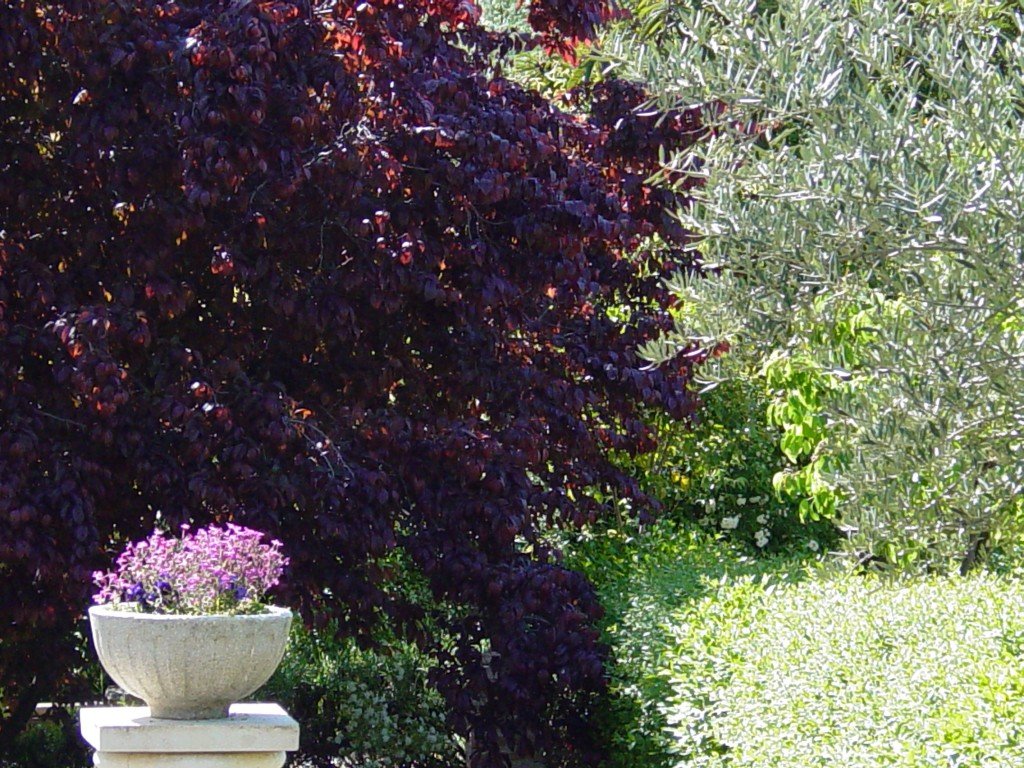 Jardin de Villavilenduque
