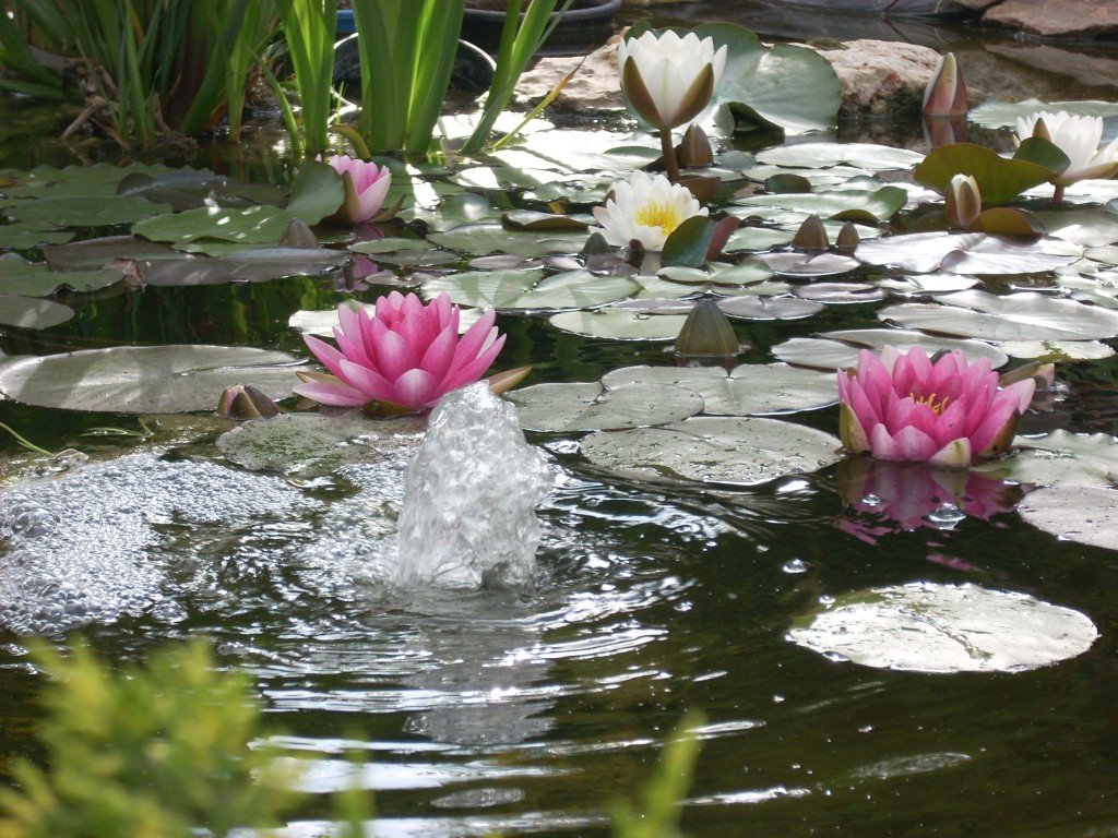 Jardin de Villavilenduque